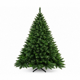 Aga karácsonyfa fenyő 150 cm Prémium