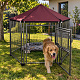 Aga Kutyaketrec 122 cm DS2SD-CIR