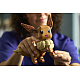 LEGO® Pokémon™ 72151 Eevee