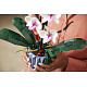LEGO® Botanicals 10311 Orchidea