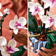 LEGO® Botanicals 10311 Orchidea