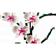LEGO® Botanicals 10311 Orchidea