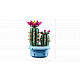 LEGO® Botanicals 11509 Virágzó kaktusz