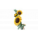 LEGO® Botanicals 11502 Napraforgócsokor