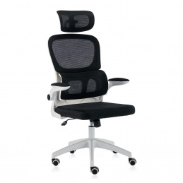 Aga Irodai ergonomikus szék DS5016