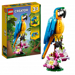 LEGO® LEGO Creator 31136 Egzotikus papagáj