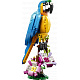 LEGO® LEGO Creator 31136 Egzotikus papagáj