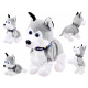 Interaktív Husky kutya ZA1333