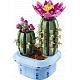 LEGO® Botanicals 11509 Virágzó kaktusz