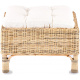 Aga Rattan karosszék CONSUL RATTAN