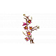 LEGO® Botanicals 11510 Magnóliaágak