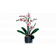 LEGO® Botanicals 10311 Orchidea