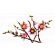 LEGO® Botanicals 11510 Magnóliaágak