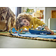 LEGO® City 60456 Üldözés rendőrségi csónakkal
