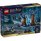 LEGO® Harry Potter™ 76475 A Tiltott Rengeteg: Expecto Patronum
