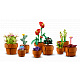 LEGO® Botanicals 10329 Apró cserepes növények