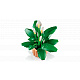 LEGO® Botanicals 11504 Vitorlavirág