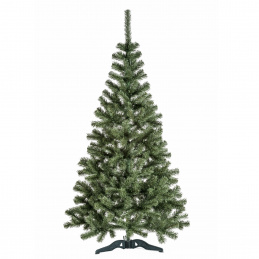 Aga Karácsonyfa Jegenyefenyő 220 cm
