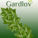 Függő aprólevelű műborsika 50,4 m Gardlov 19737