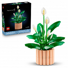LEGO® Botanicals 11504 Vitorlavirág