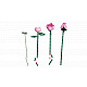LEGO® Botanicals 10374 Rózsaszín rózsacsokor