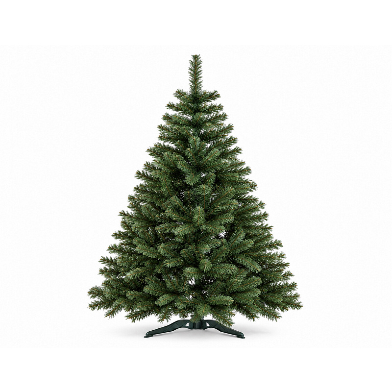 Aga Karácsonyfa Jegenyefenyő 150 cm