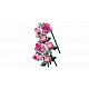LEGO® Botanicals 10374 Rózsaszín rózsacsokor