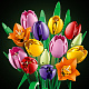 LEGO® Botanicals 11501 Tulipáncsokor