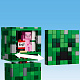 LEGO® Minecraft® 21276 A Creeper™