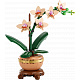 LEGO® Botanicals 10343 Mini orchidea