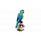 LEGO® LEGO Creator 31136 Egzotikus papagáj