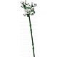 LEGO® Botanicals 10328 Rózsacsokor
