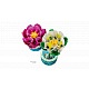 LEGO® Botanicals 11511 Tündérrózsák